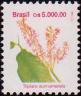 Триплярис суринамский (Triplaris surinamensis)
