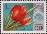 Тюльпан «Большой театр», выведенный голландскими цветоводами и преподнесенный ими в дар Москве 
