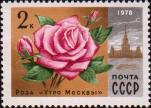 Роза «Утро Москвы» 