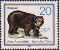 Очковый медведь (Tremarctos ornatus)