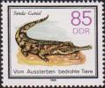 Гавиаловый крокодил (Tomistoma schlegelii)