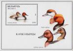 Беларусь  1996 «Водно-болотные птицы» (блок)