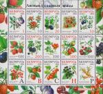 Беларусь  2004 «Седьмой стандартный выпуск. Лесные и садовые ягоды»