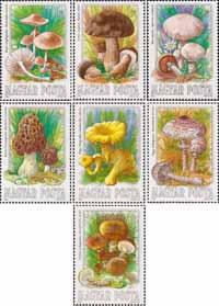 Венгрия  1984 «Съедобные грибы»