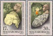 Венгрия  1993 «Доисторический человек в Венгрии»