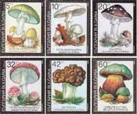 Болгария  1991 «Ядовитые грибы»