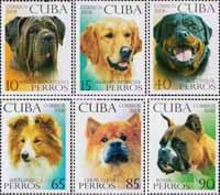 Куба  2008 «Собаки»