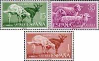 Испанская Сахара  1962 «День почтовой марки. Домашний скот»
