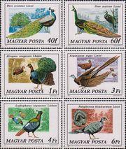 Венгрия  1977 «Птицы из семейства фазановых»