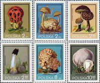 Польша  1980 «Ядовитые грибы»