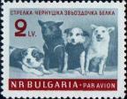 Болгария  1961 «Советские собаки-космонавты»