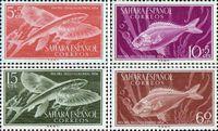 Испанская Сахара  1954 «День почтовой марки. Рыбы»