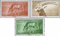 Испанская Сахара  1955 «День почтовой марки»