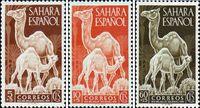 Испанская Сахара  1951 «День почтовой марки»