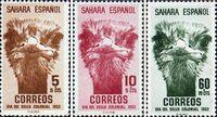 Испанская Сахара  1952 «День почтовой марки»