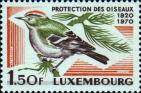 Люксембург  1970 «100-летнее общества любителей природы Люксембурга»