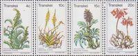 ЮАР - Транскей  1977 «Лекарственные растения»