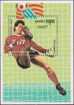 Камбоджа  1993 «Чемпионат мира по футболу. 1994. США» (блок)