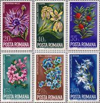 Румыния  1974 «Охрана природы - Полевые цветы»