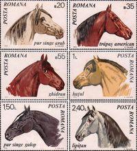 Румыния  1970 «Породы лошадей»