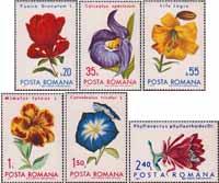 Румыния  1971 «Флора. Цветы из ботанических садов Румынии»