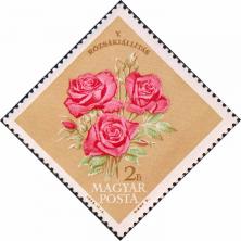 Венгрия  1963 «V национальная выставка роз в Будапеште»