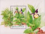 Молдова  1993 «Флора. Цветы» (блок)