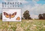 Беларусь  1996 «Фауна. Бабочки» (блок)
