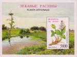 Беларусь  1996 «Флора Беларуси. Лекарственные растения» (блок)