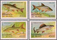 Беларусь  1997 «Редкие виды рыб Беларуси»