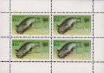 ГДР  1987 «Пресноводные рыбы» (малый лист)