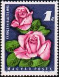 Венгрия  1972 «15-я национальная выставка роз»