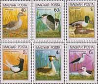 Венгрия  1980 «Охраняемые птицы  Европы»