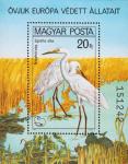 Венгрия  1980 «Охраняемые птицы  Европы» (блок)