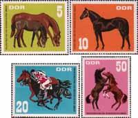 ГДР  1967 «Выставка чистокровных лошадей социалистических стран. Хоппегартен»