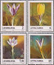 Югославия  1991 «Флора: Крокусы»