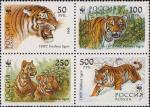 Россия  1993 «Уссурийский тигр» (сцепка)