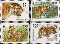 Россия  1993 «Уссурийский тигр»