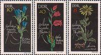 ГДР  1966 «Растения, охраняемые в ГДР»