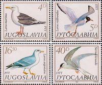 Югославия  1984 «Фауна. Чайки»