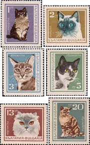 Болгария  1967 «Домашние кошки»