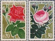 Франция  1962 «Розы»