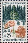 Франция  1965 «Восстановление лесных массивов»
